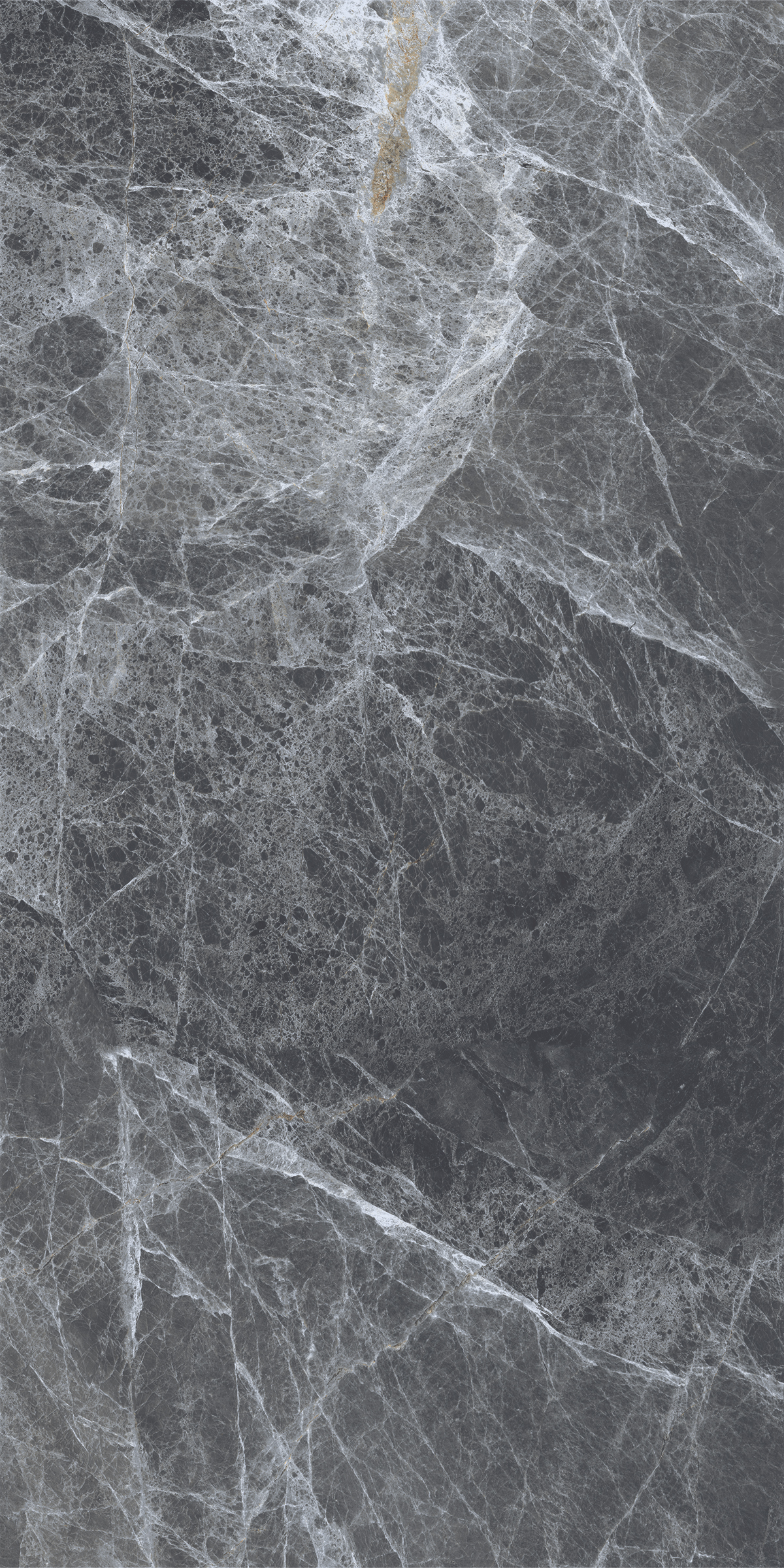 REGAL GREY