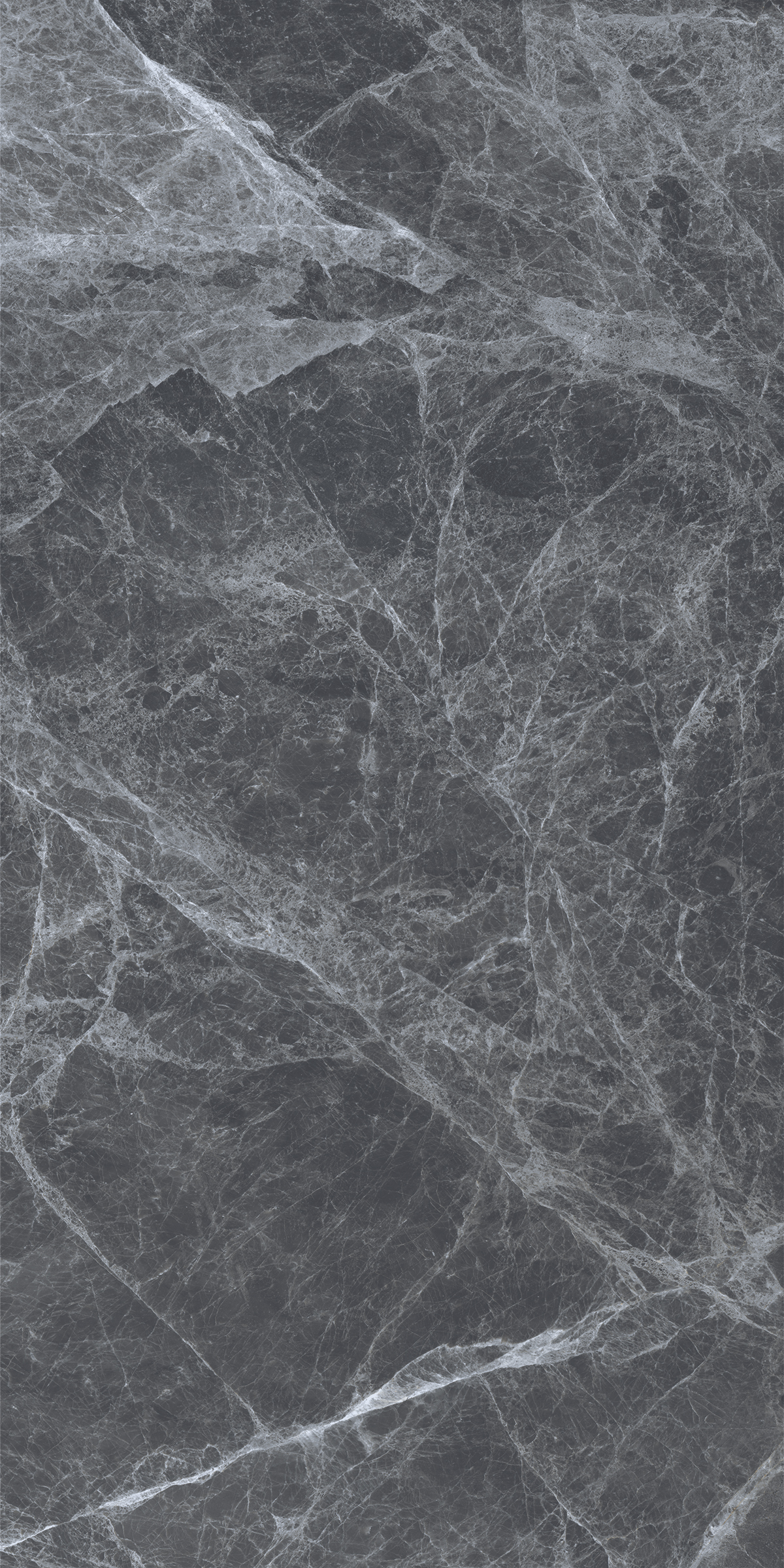REGAL GREY