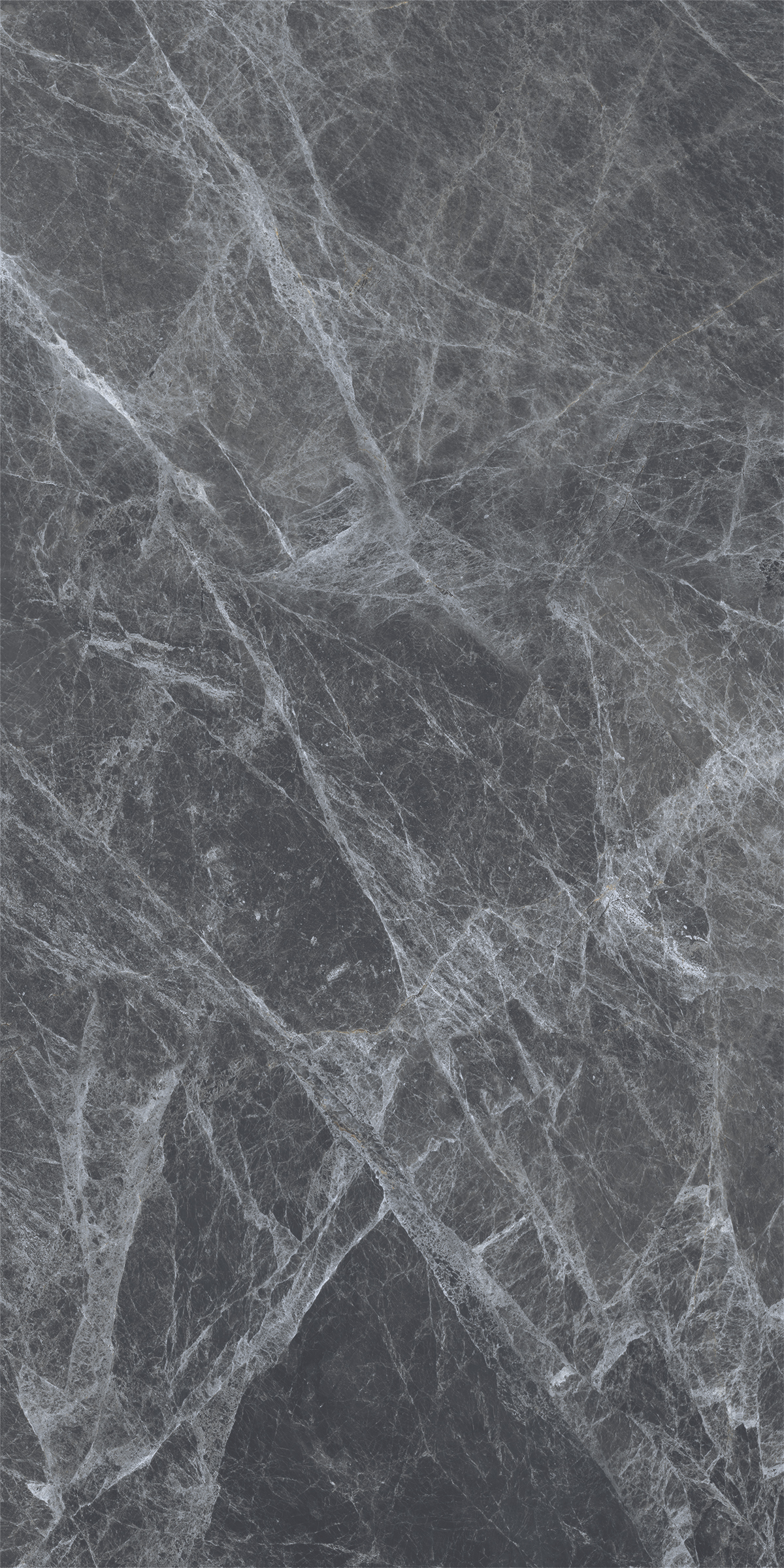 REGAL GREY