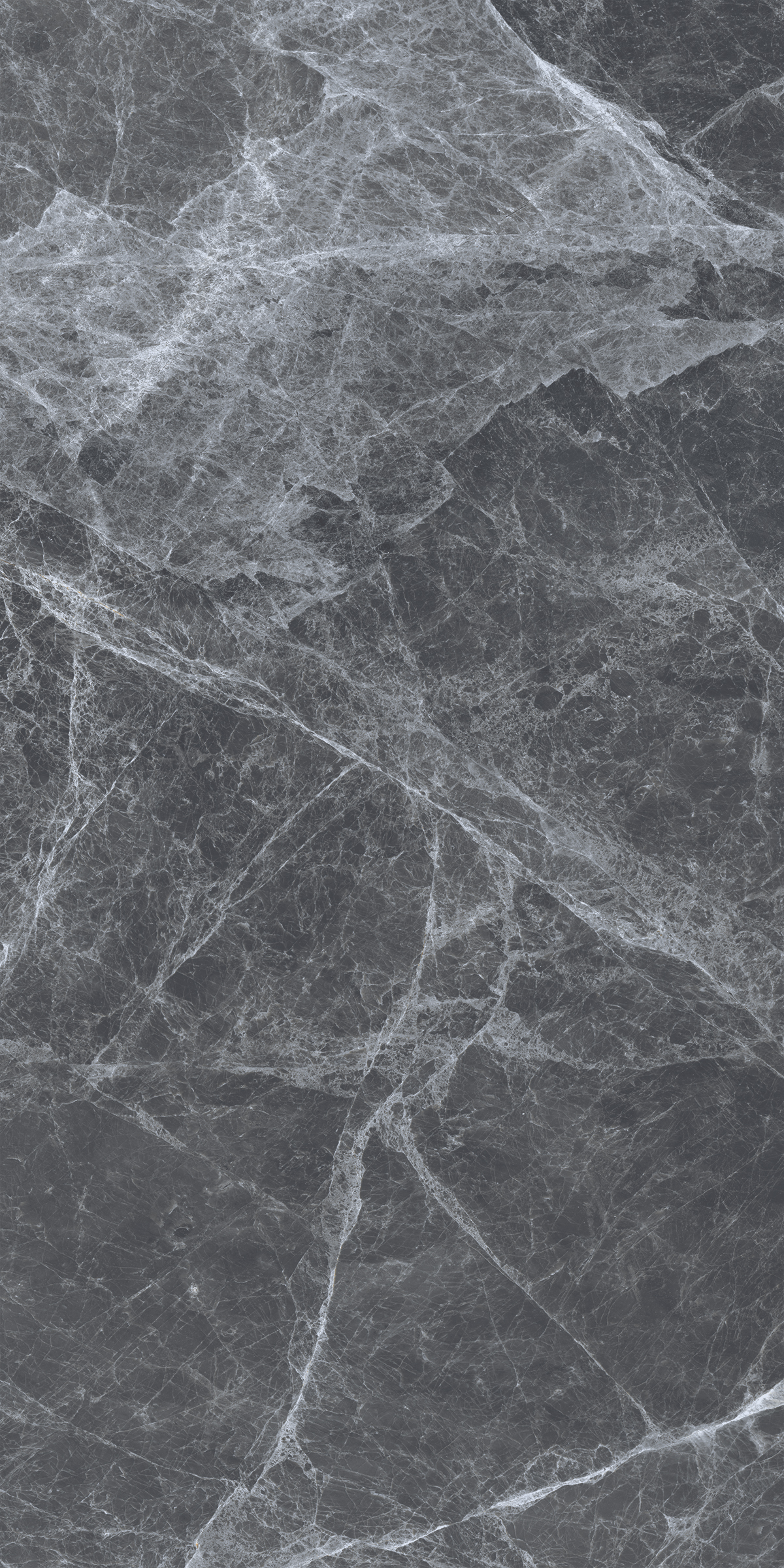 REGAL GREY