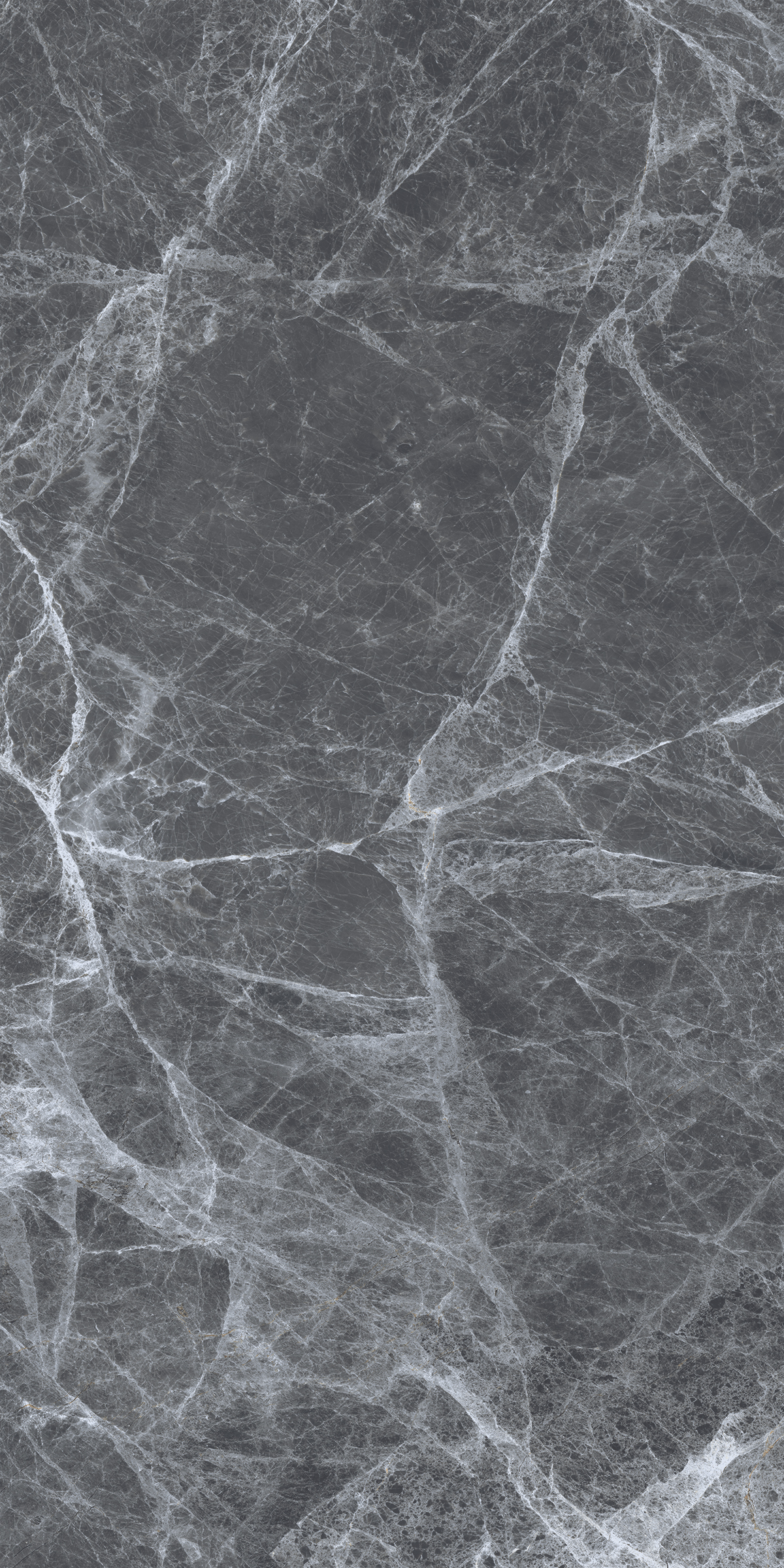 REGAL GREY