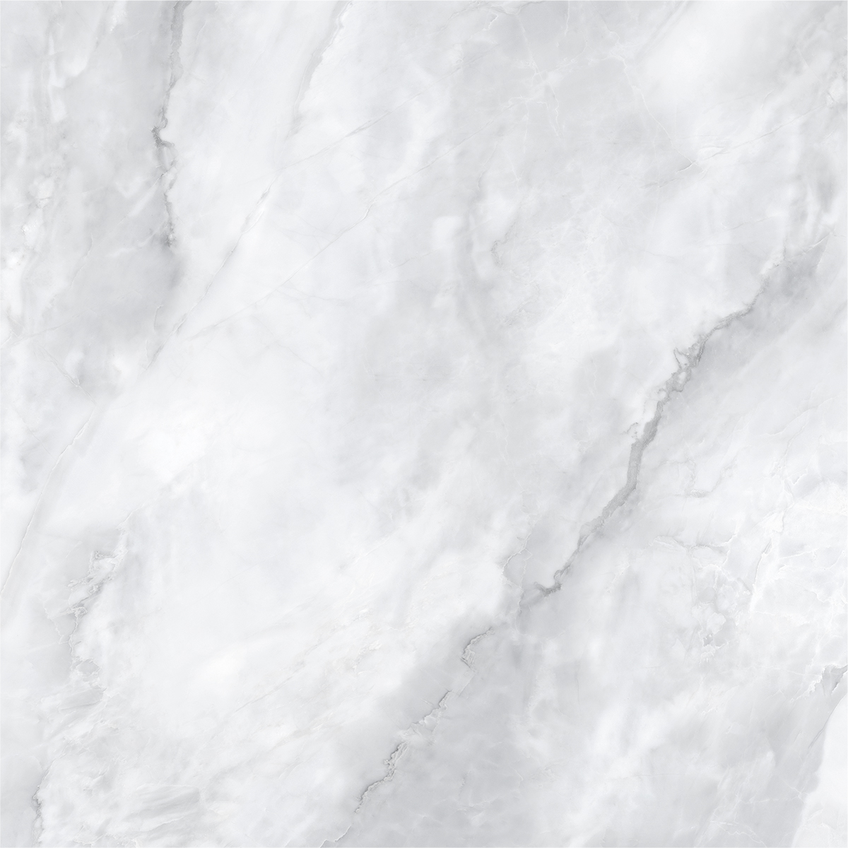 SCARLET BIANCO