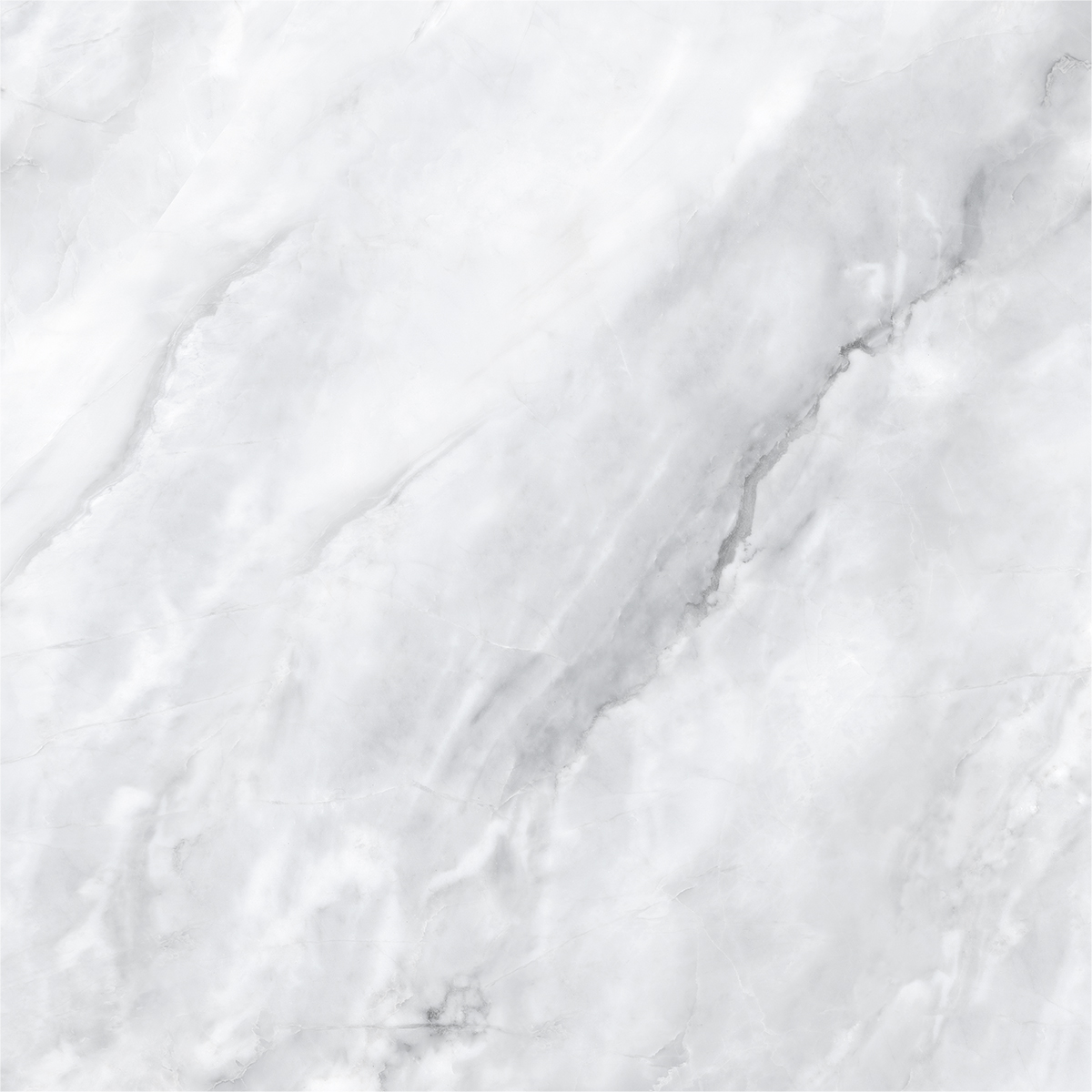 SCARLET BIANCO