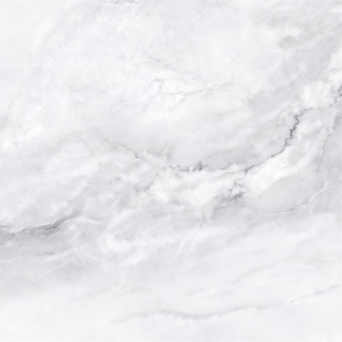 SCARLET BIANCO