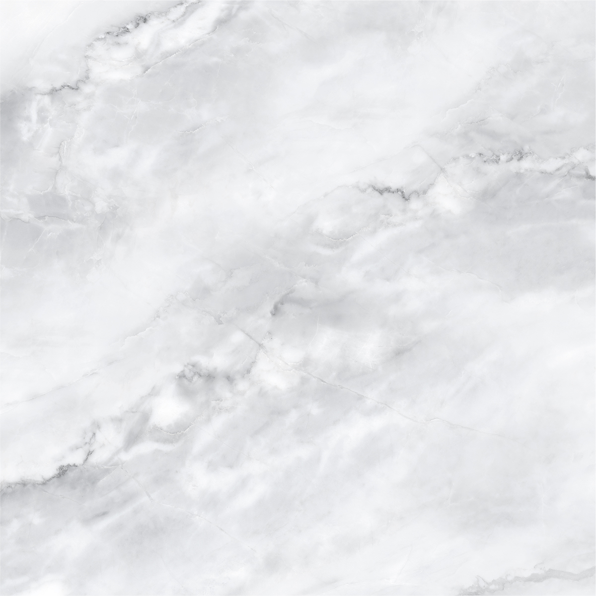SCARLET BIANCO