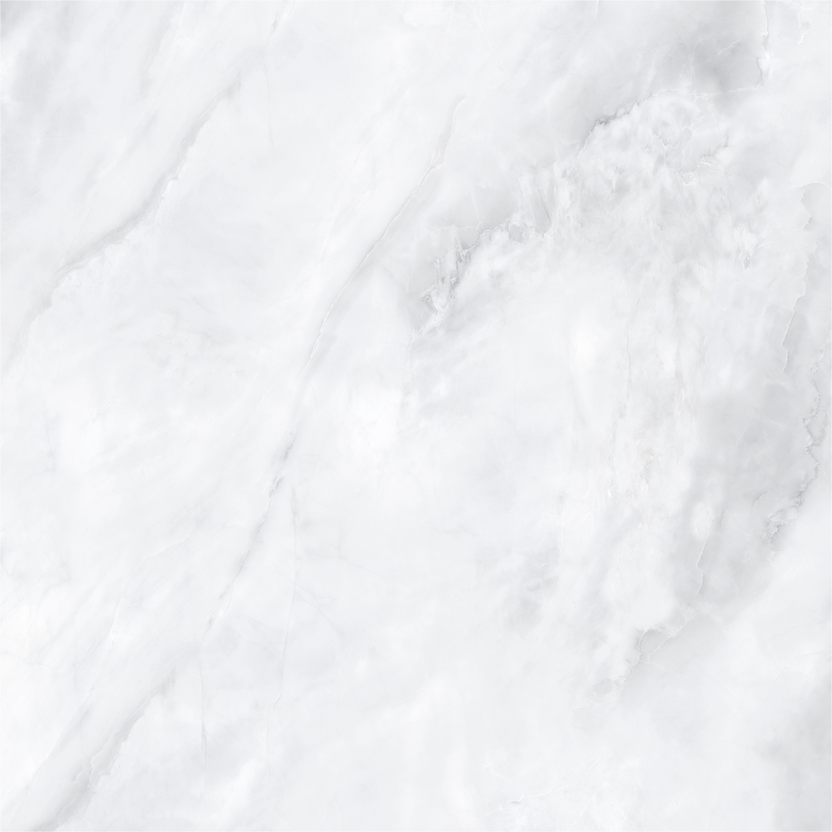 SCARLET BIANCO