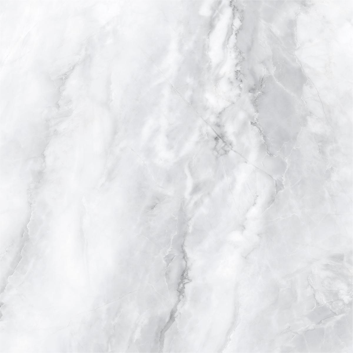 SCARLET BIANCO