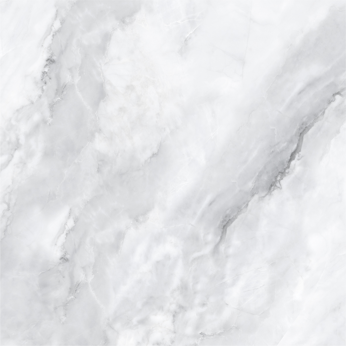 SCARLET BIANCO