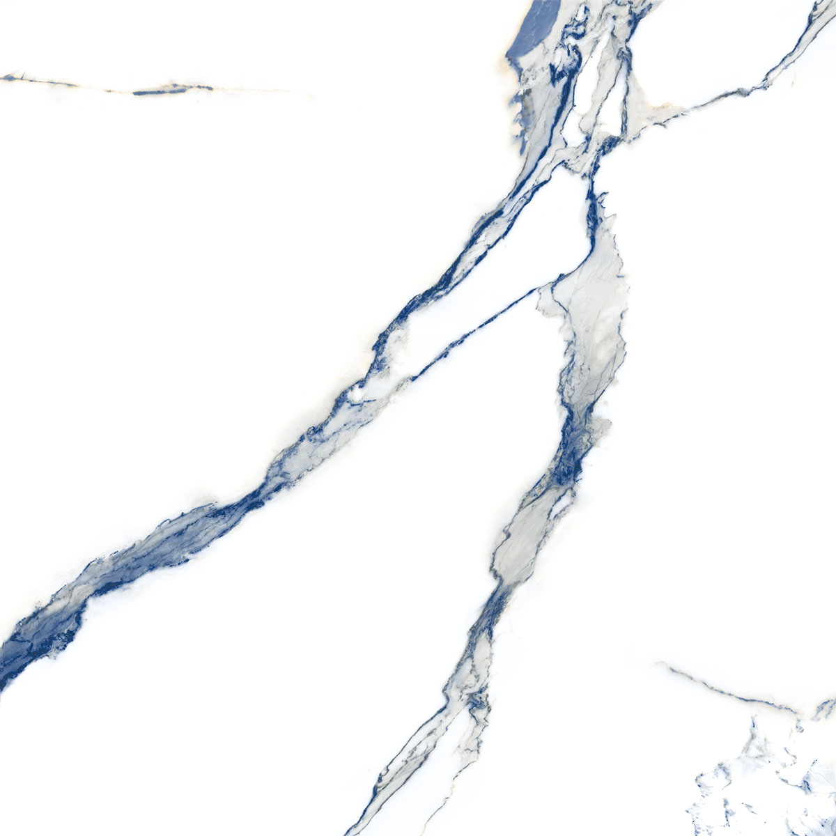 STATUARIO WOLF BLUE