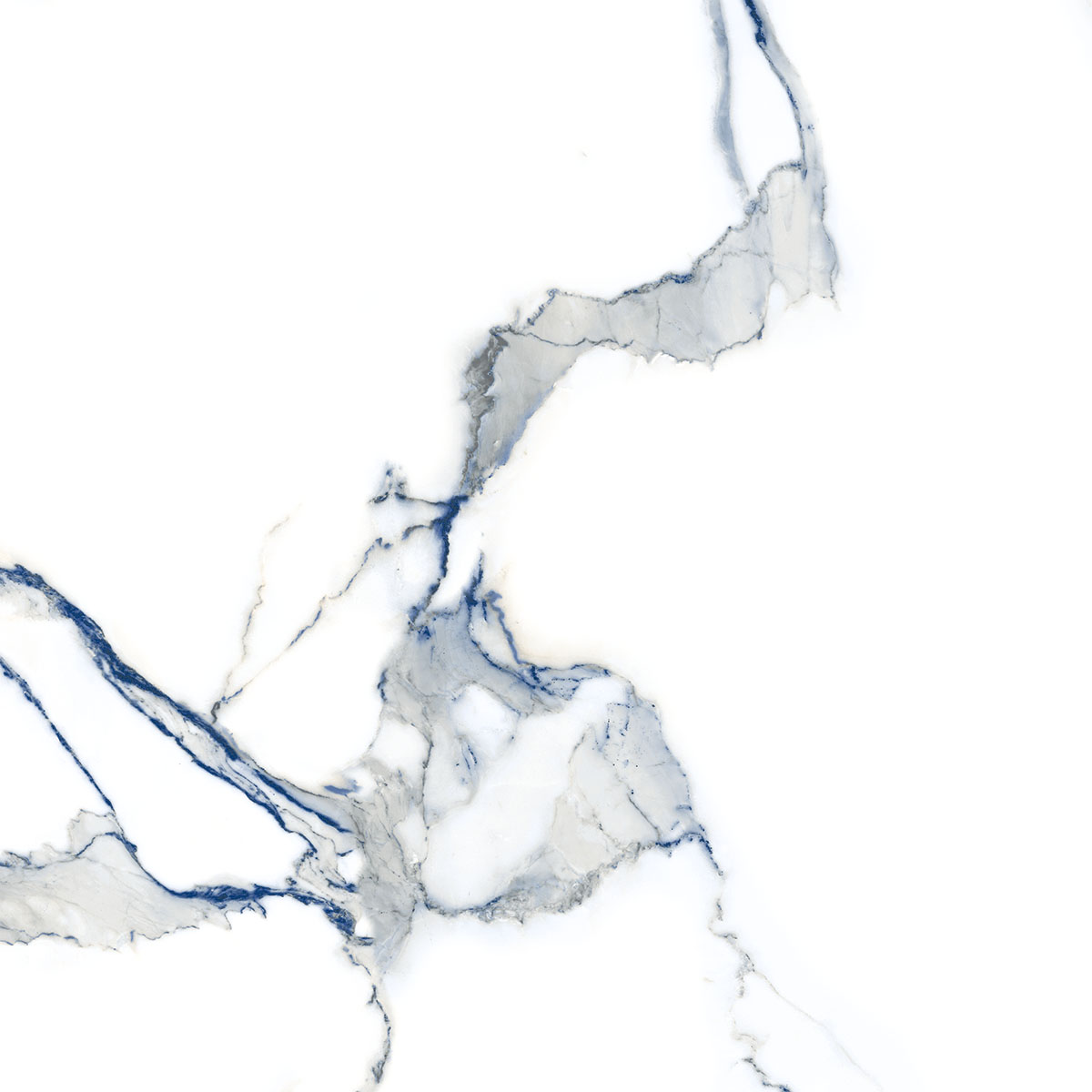 STATUARIO WOLF BLUE