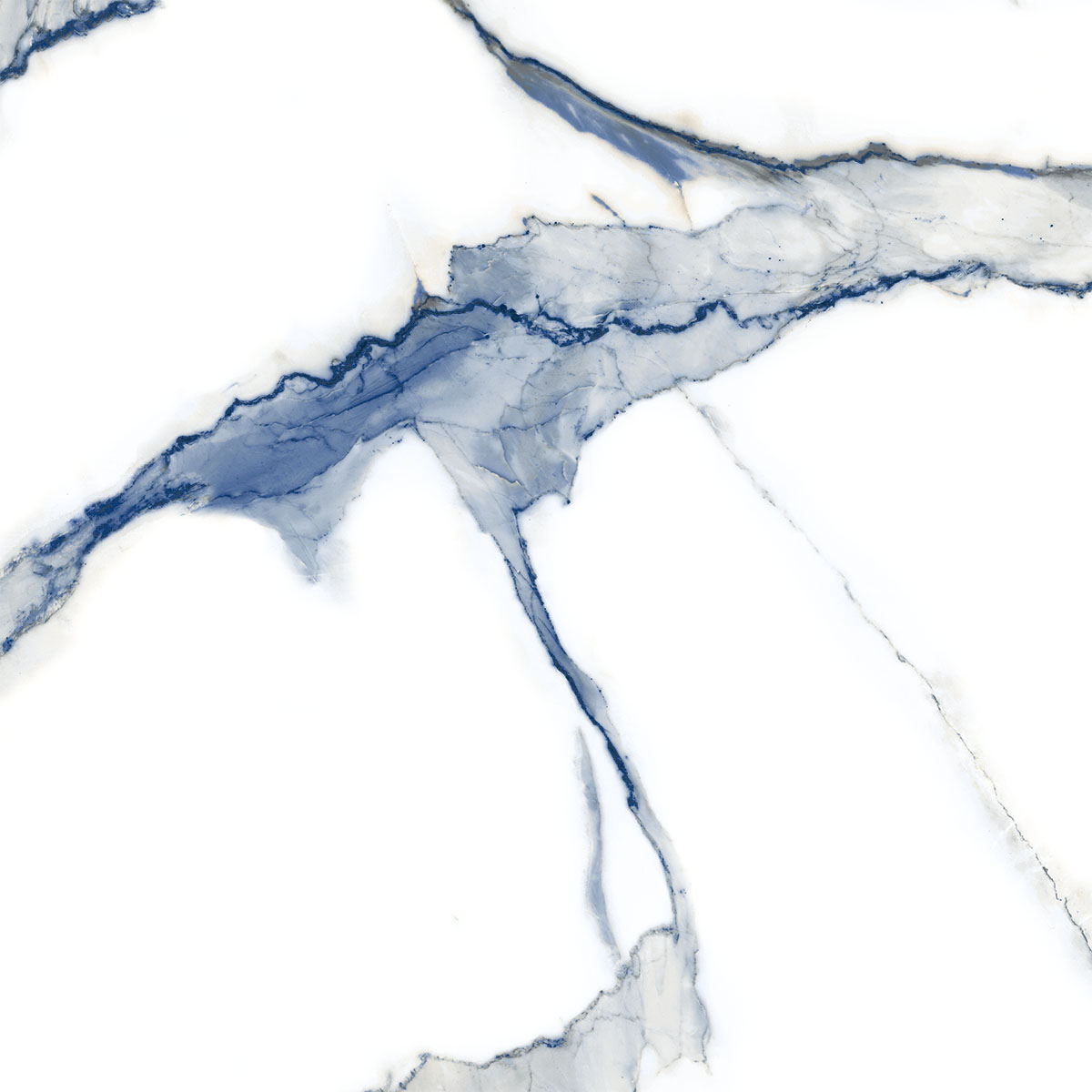STATUARIO WOLF BLUE