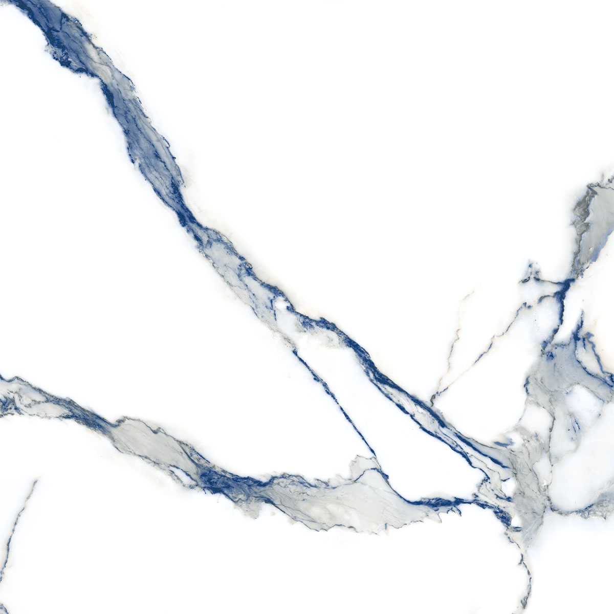 STATUARIO WOLF BLUE