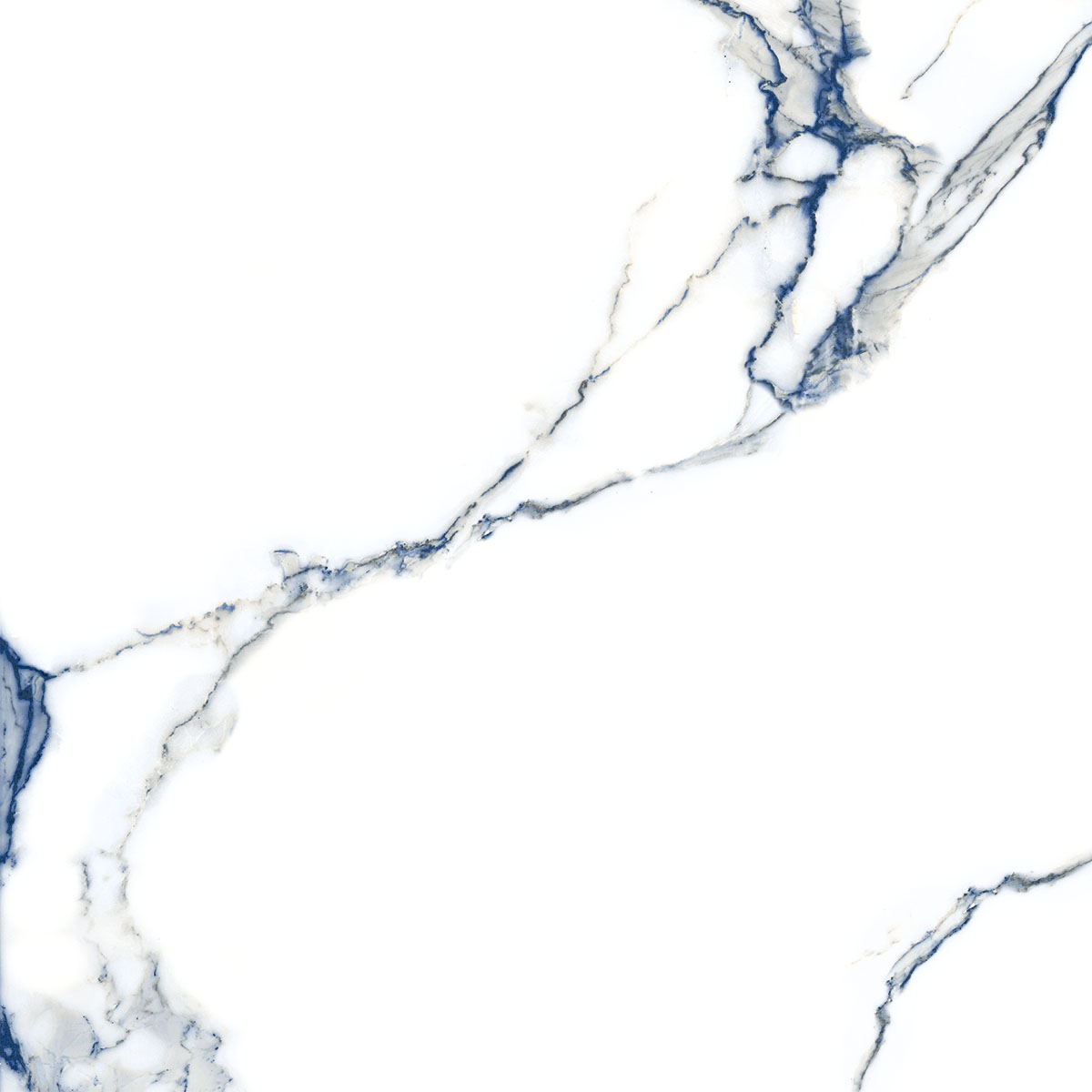 STATUARIO WOLF BLUE