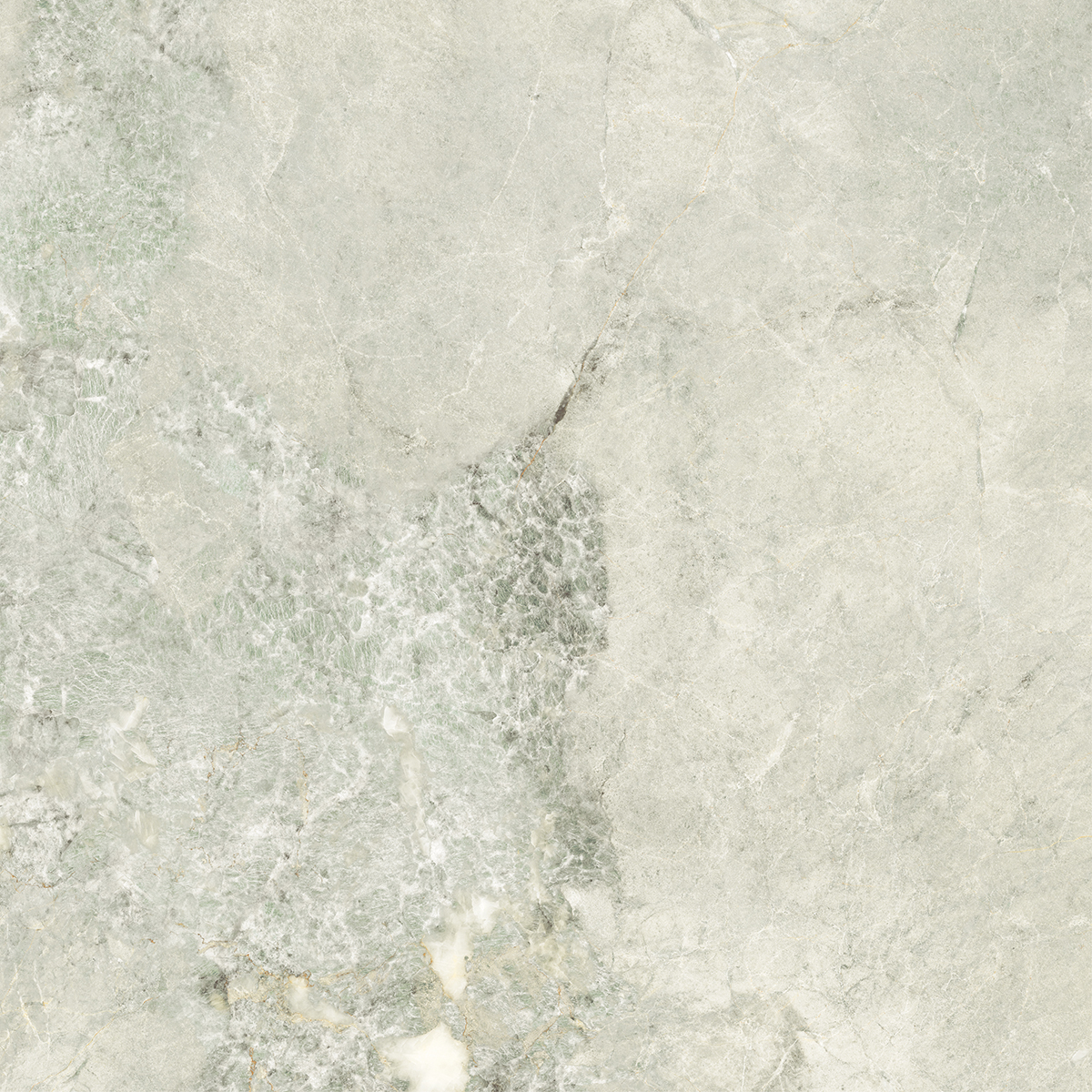 VERONIC GREEN