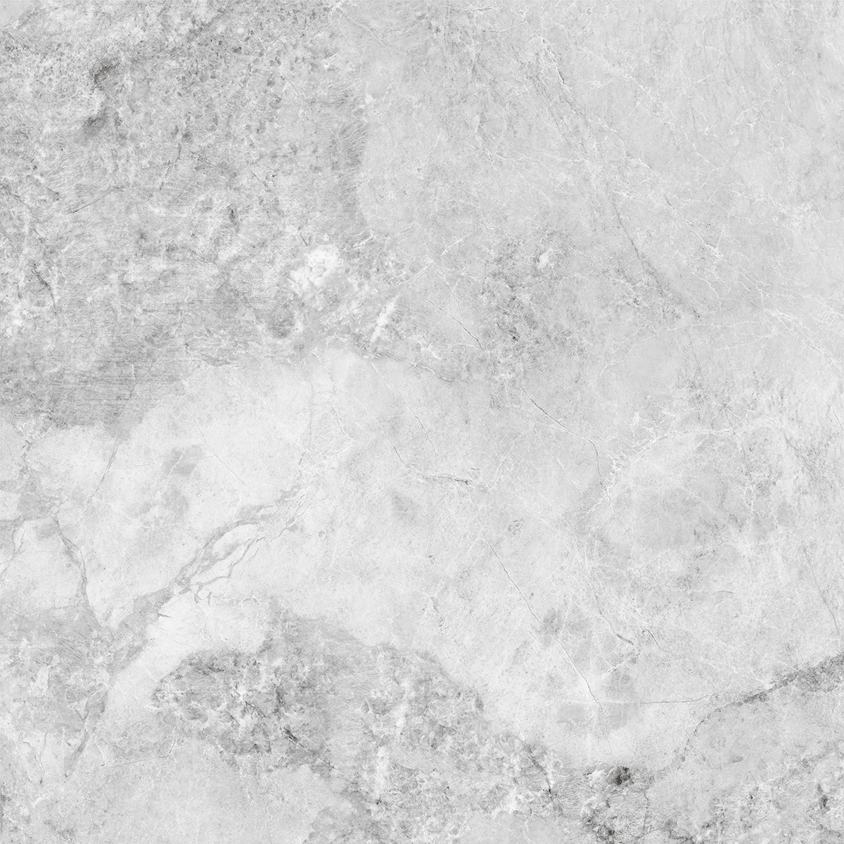 VERONIC GREY