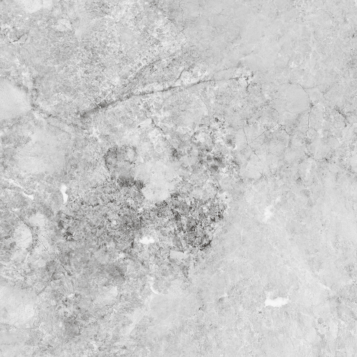 VERONIC GREY