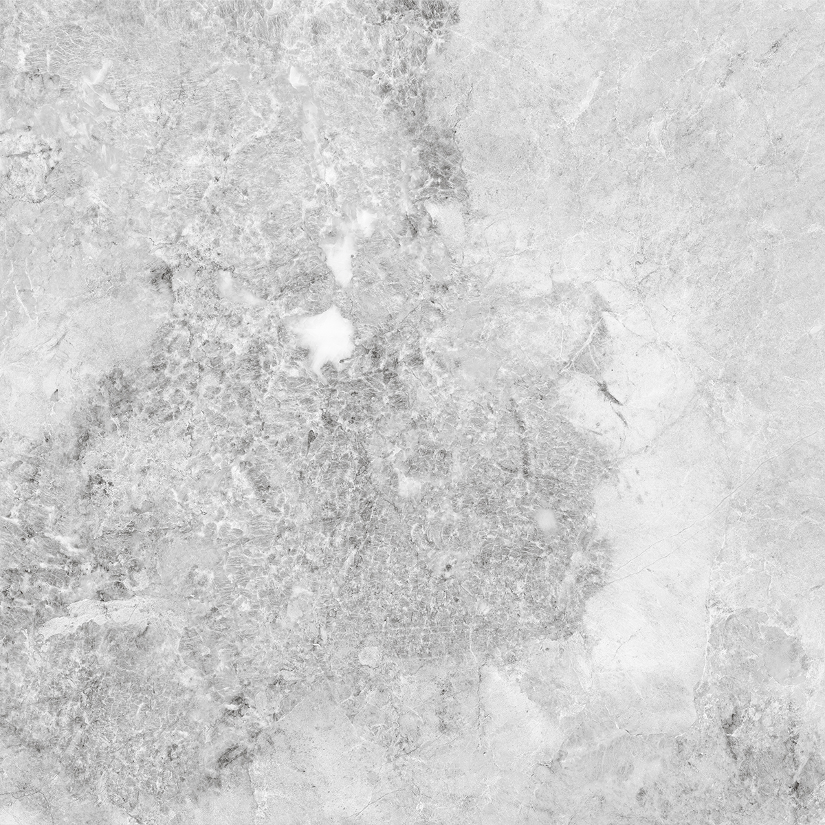 VERONIC GREY