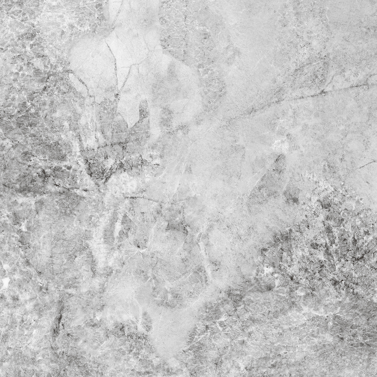 VERONIC GREY