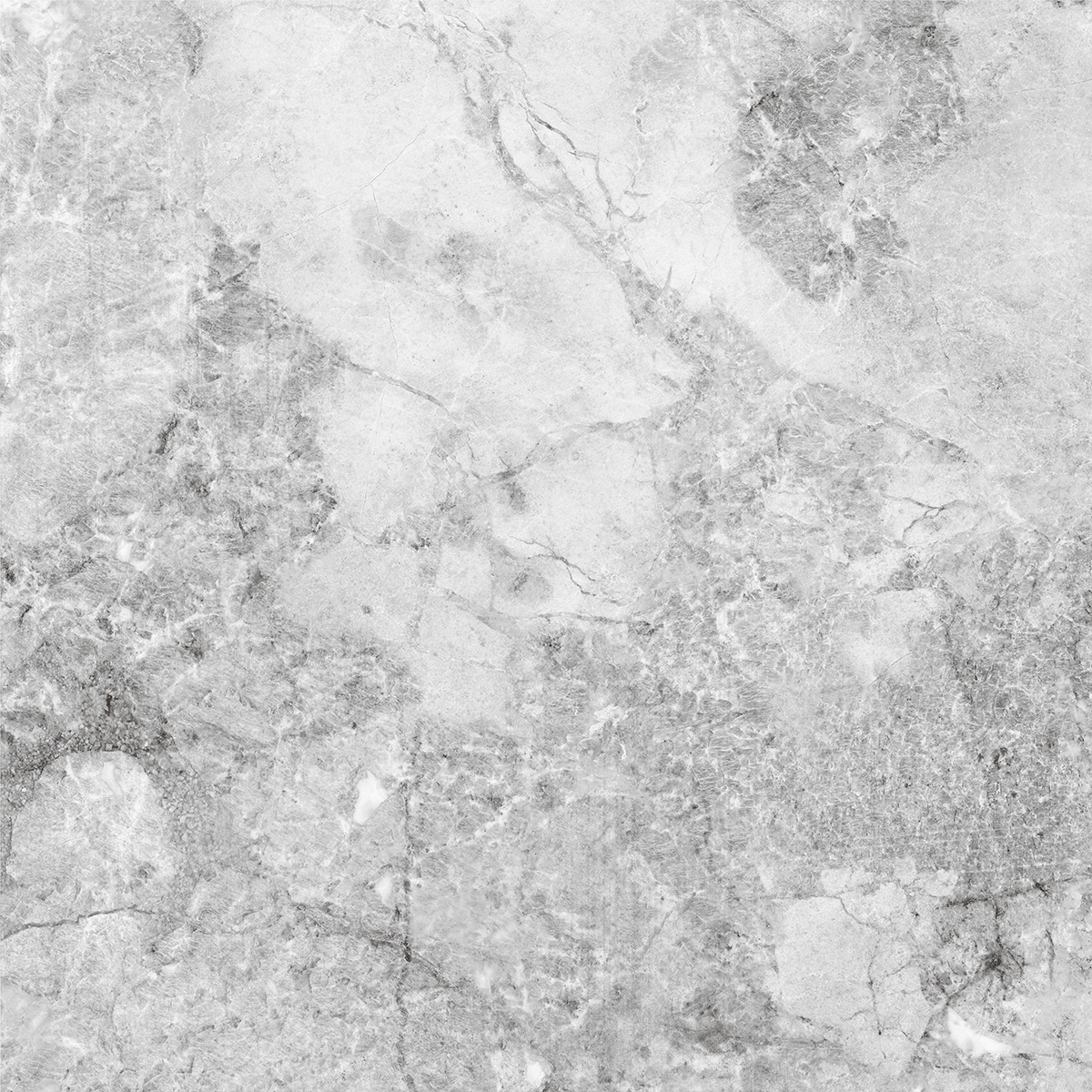 VERONIC GREY