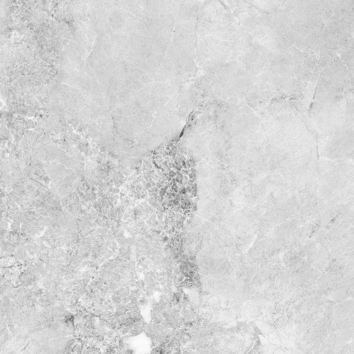 VERONIC GREY