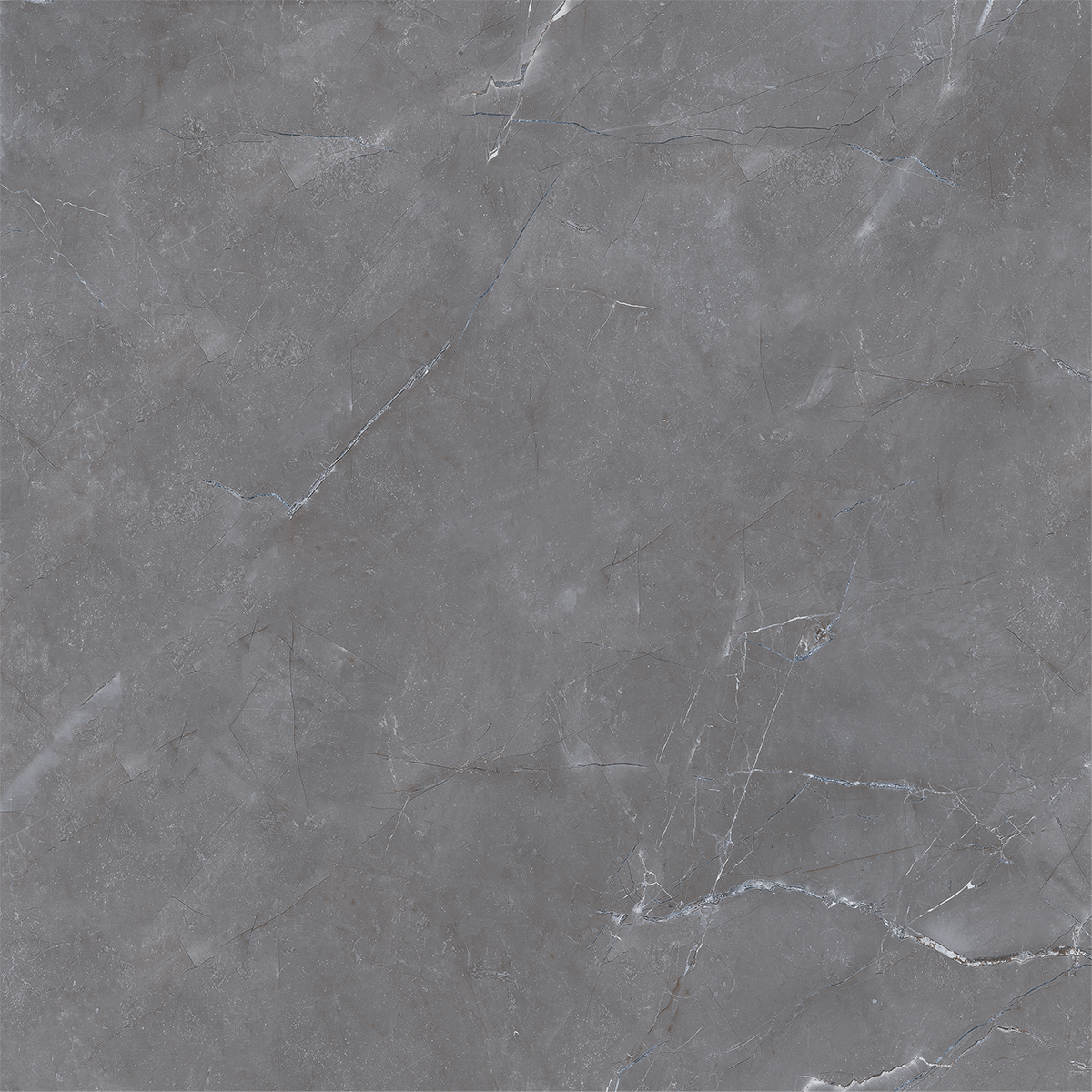 VERSACE GRIGIO