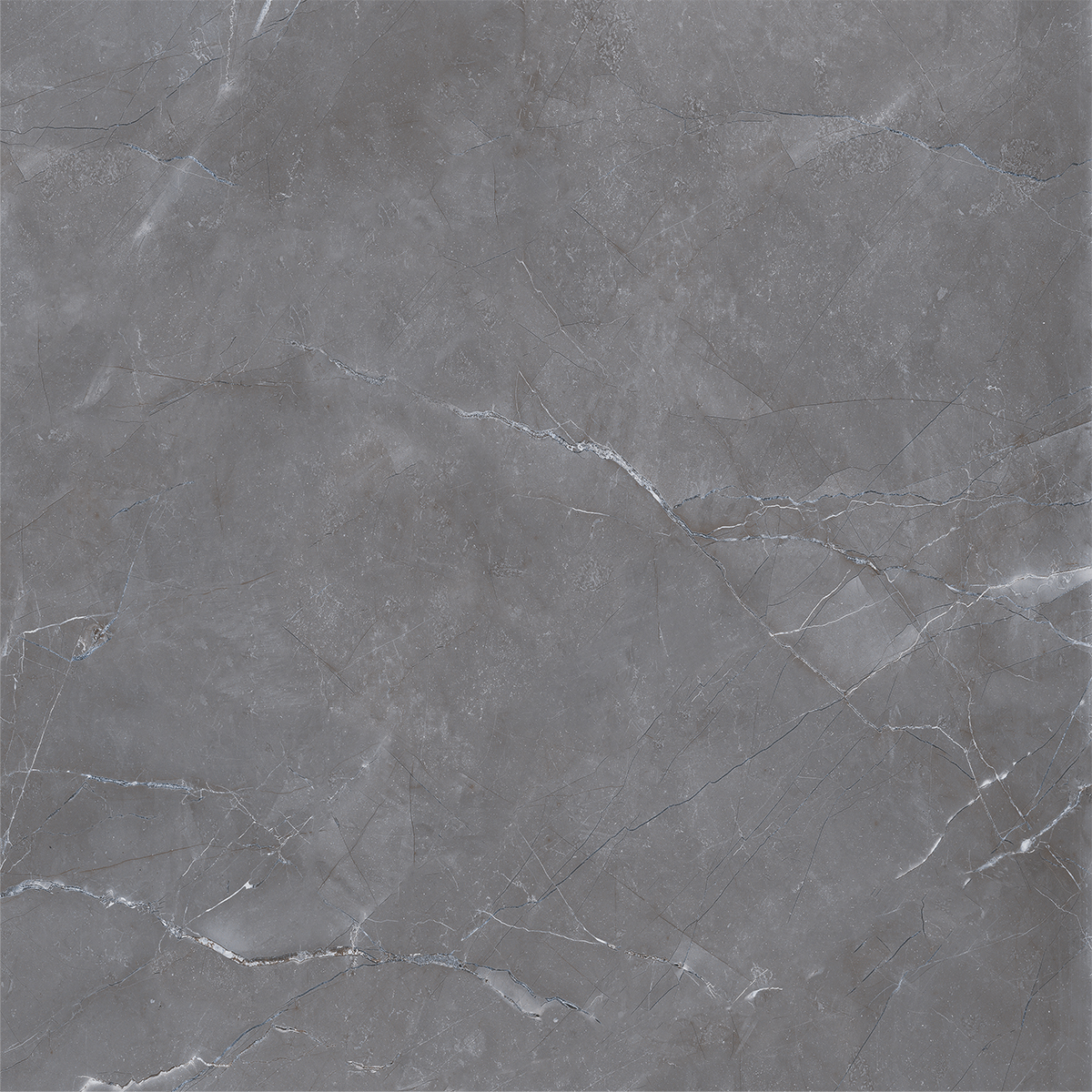 VERSACE GRIGIO