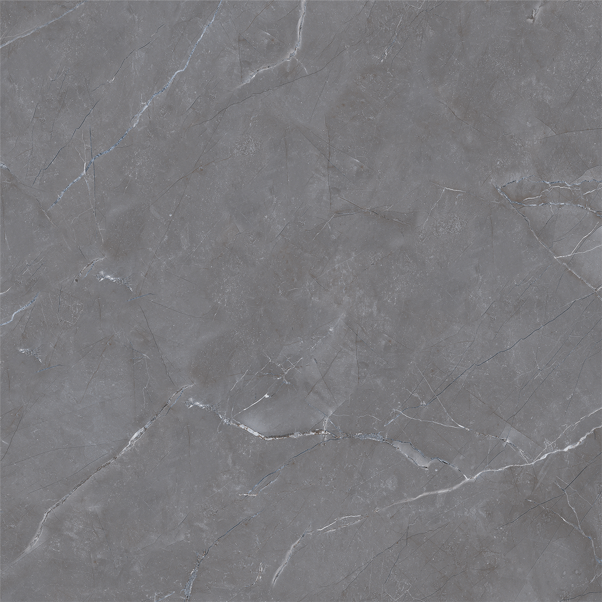 VERSACE GRIGIO