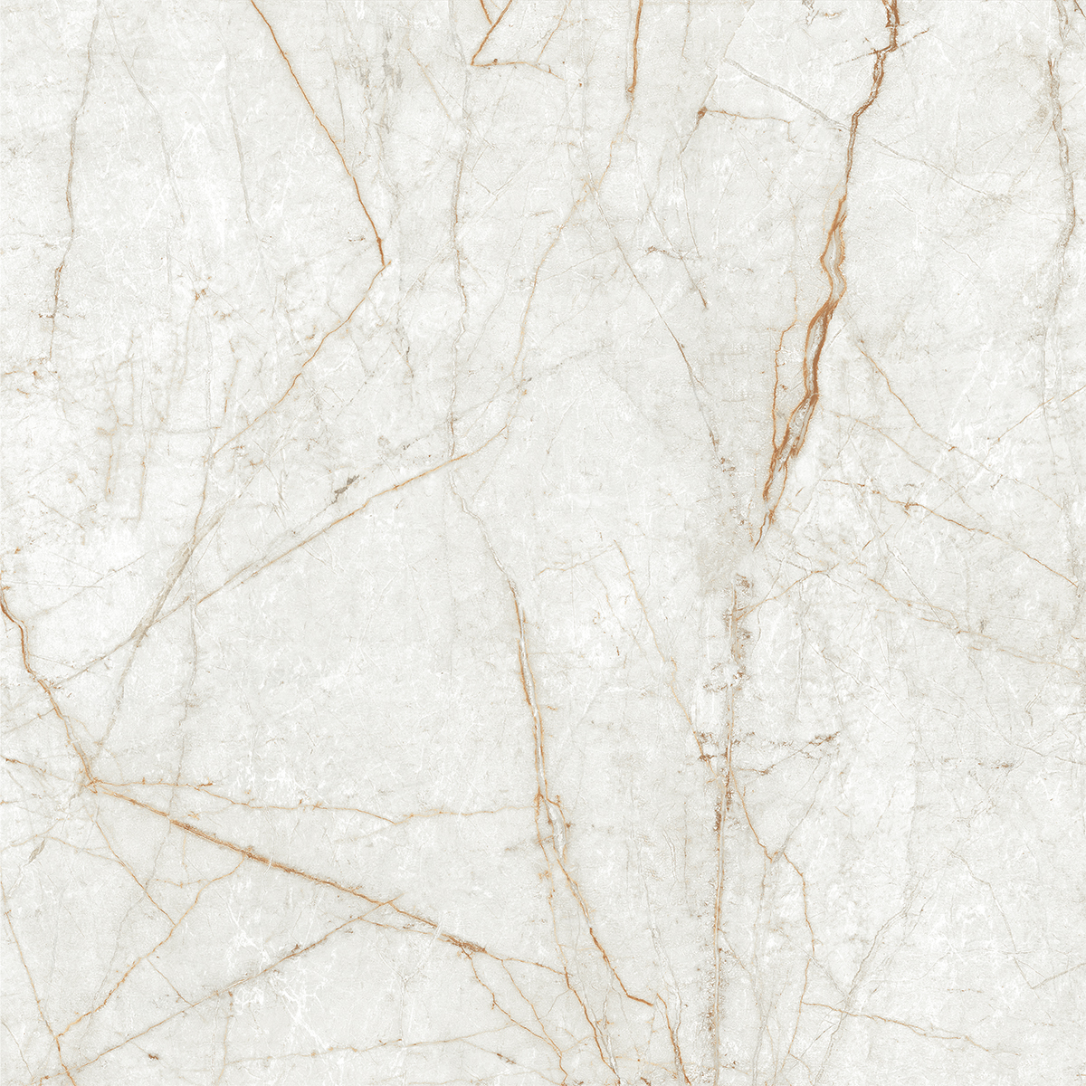 ALGARIA OYSTER