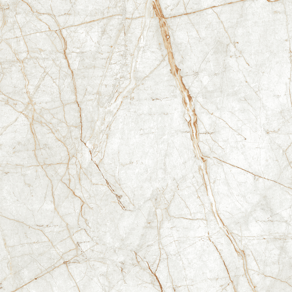 ALGARIA OYSTER