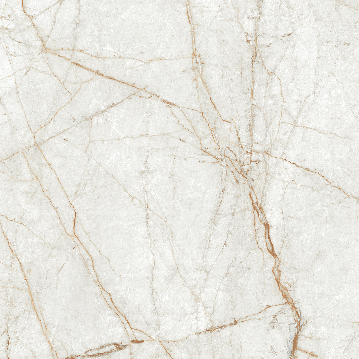 ALGARIA OYSTER