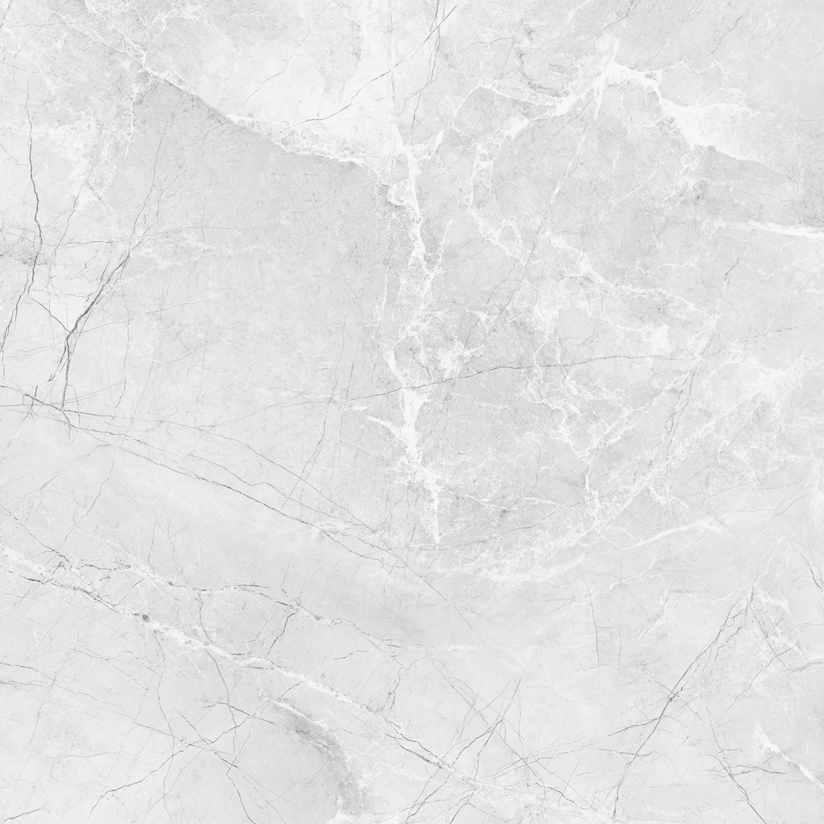 AMORINI BIANCO