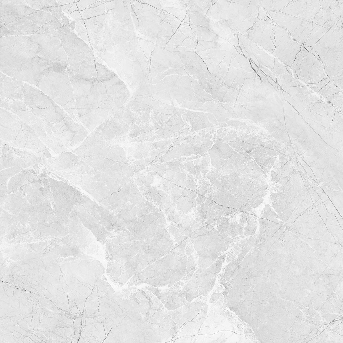 AMORINI BIANCO