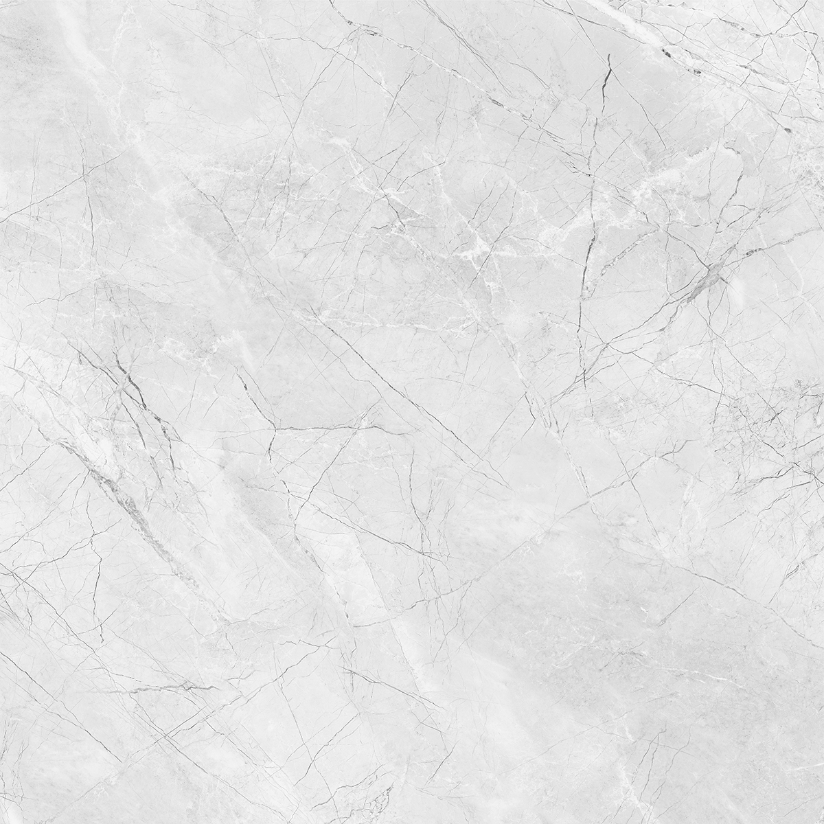 AMORINI BIANCO