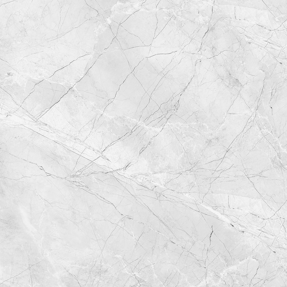 AMORINI BIANCO