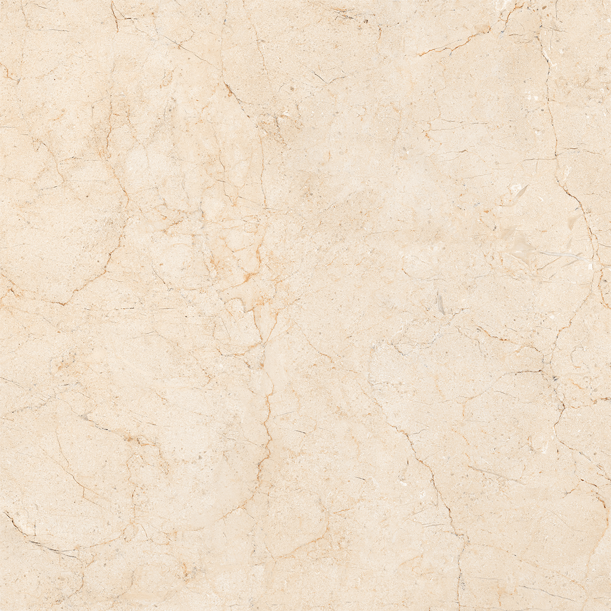AMORS CREMA MARFIL