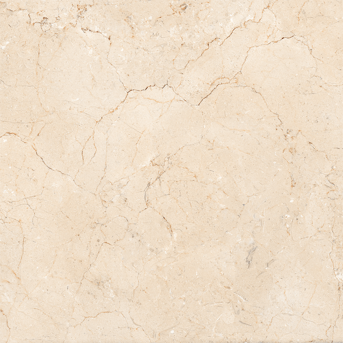 AMORS CREMA MARFIL