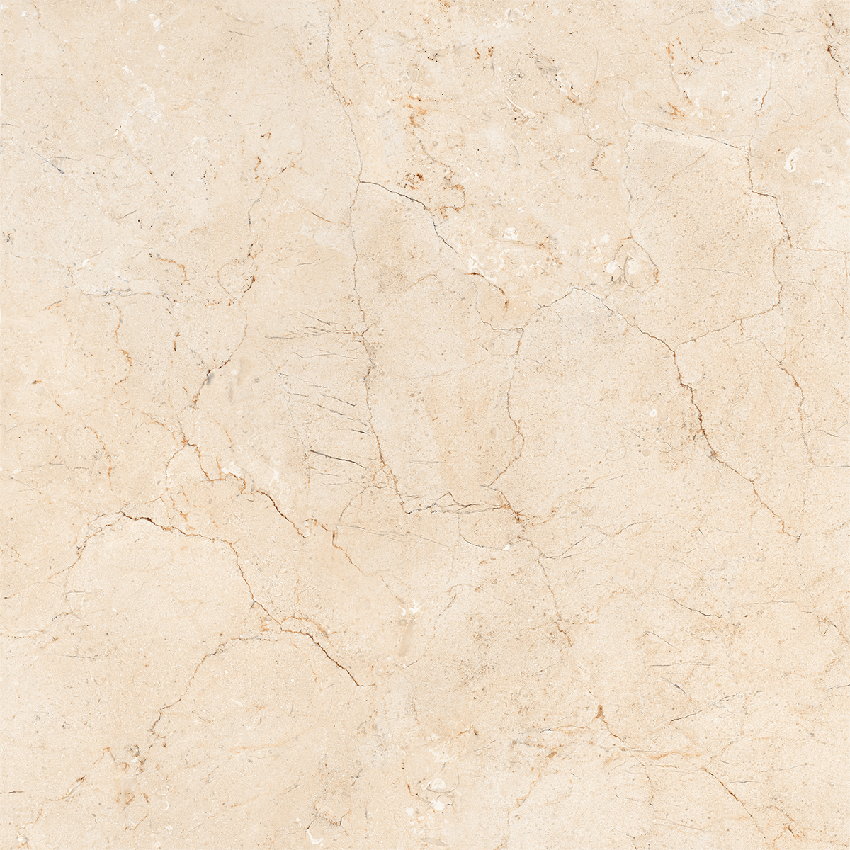 AMORS CREMA MARFIL