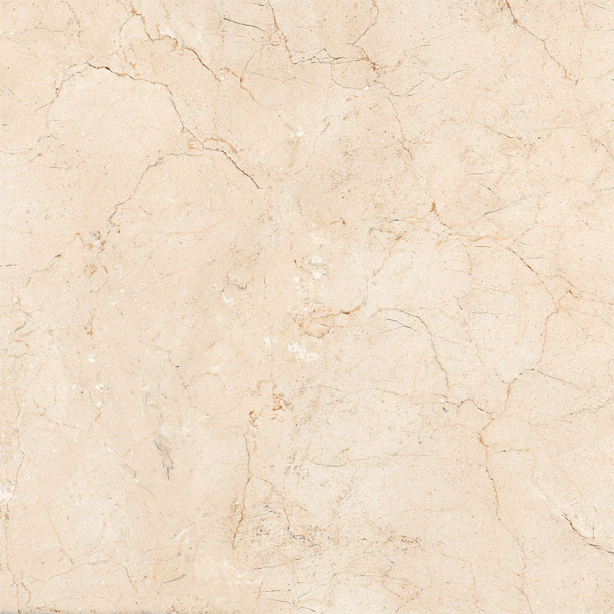 AMORS CREMA MARFIL