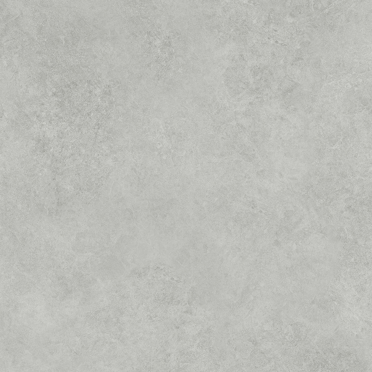 AMORS GREY