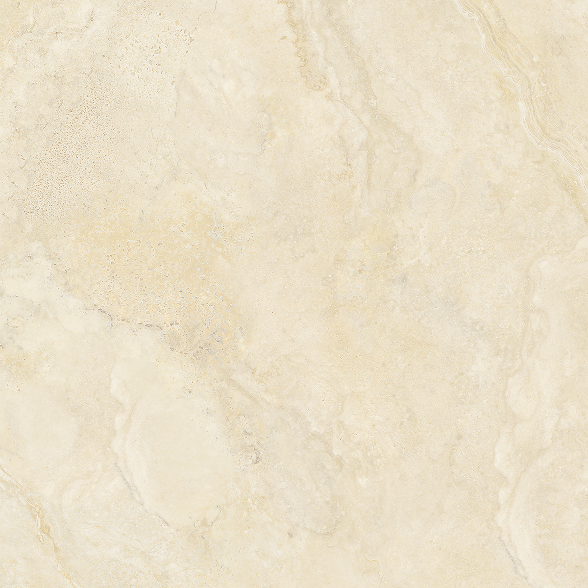AQUILIA IVORY