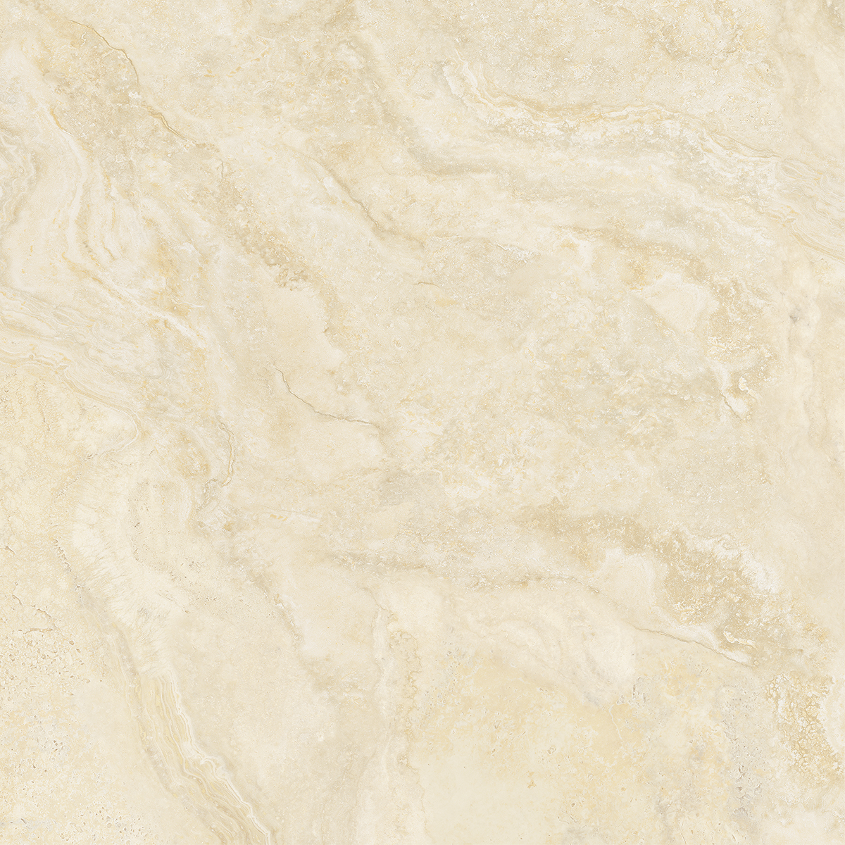 AQUILIA IVORY