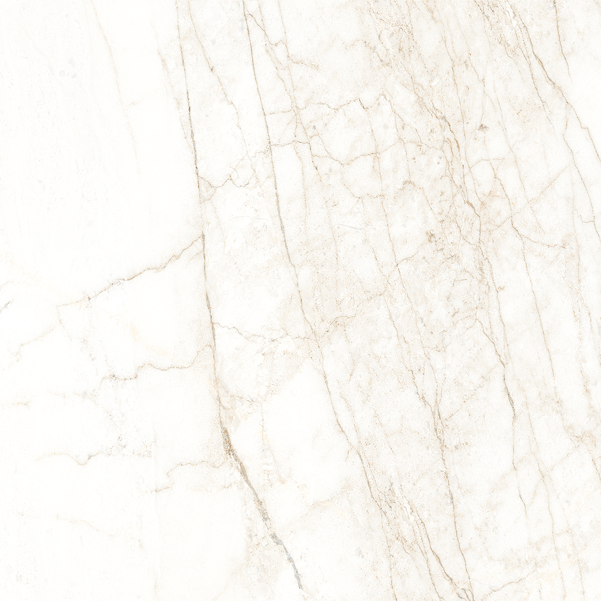 ARENA WHITE