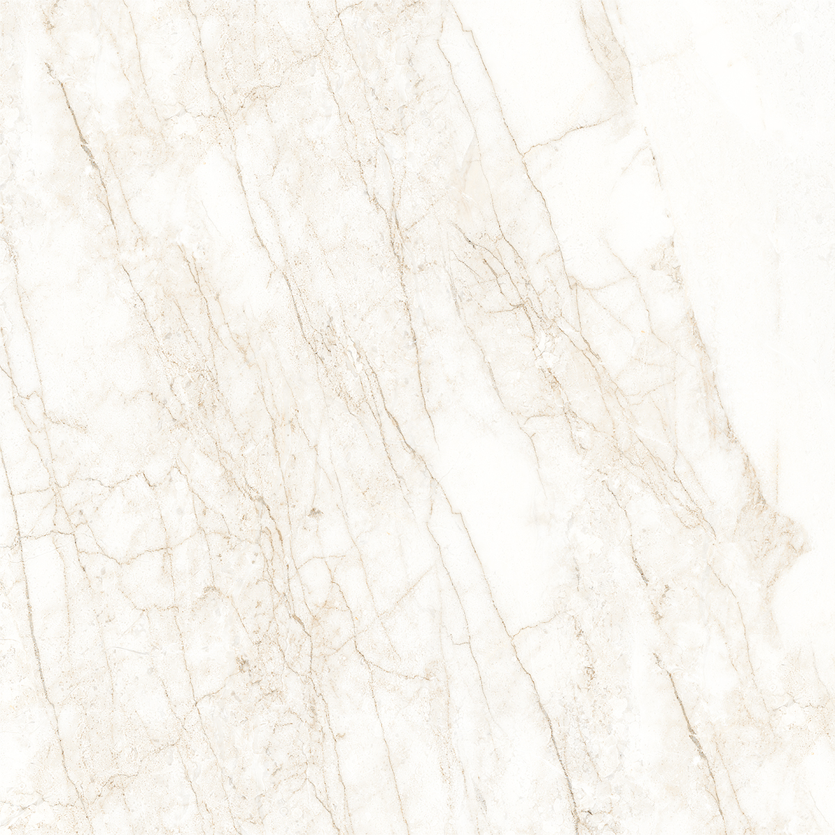 ARENA WHITE