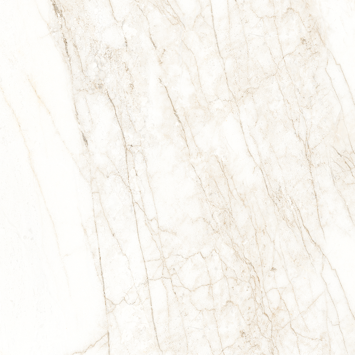 ARENA WHITE