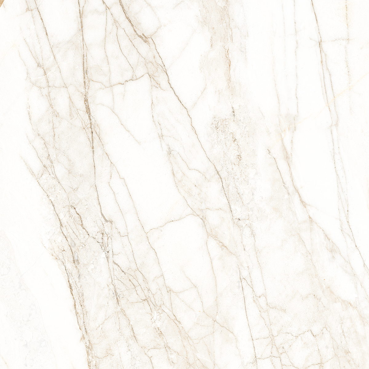 ARENA WHITE