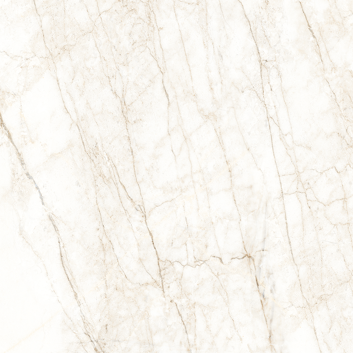 ARENA WHITE