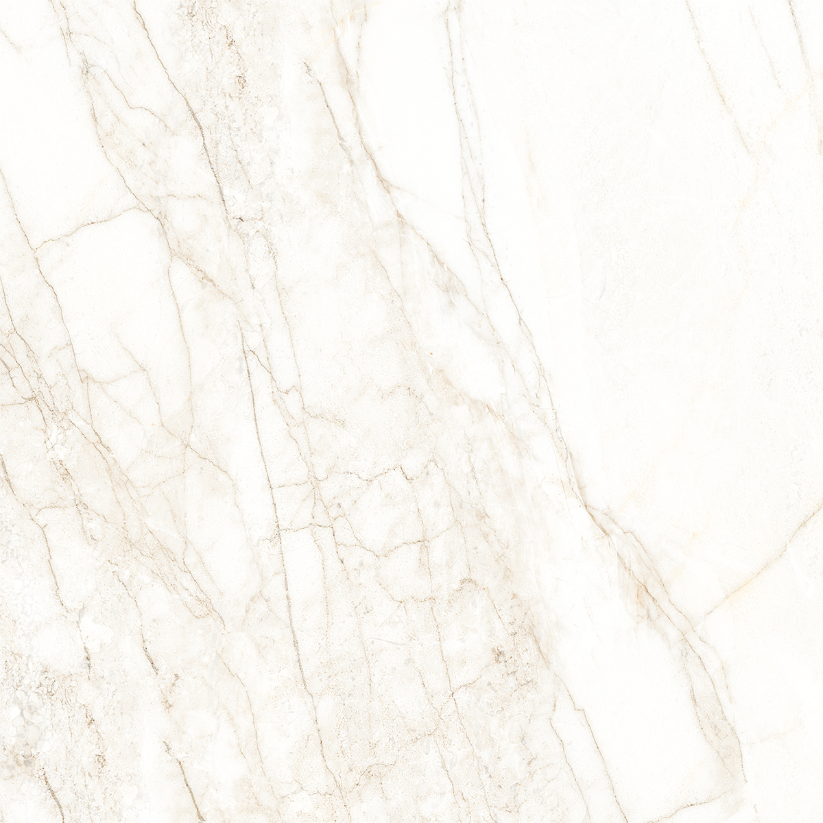 ARENA WHITE