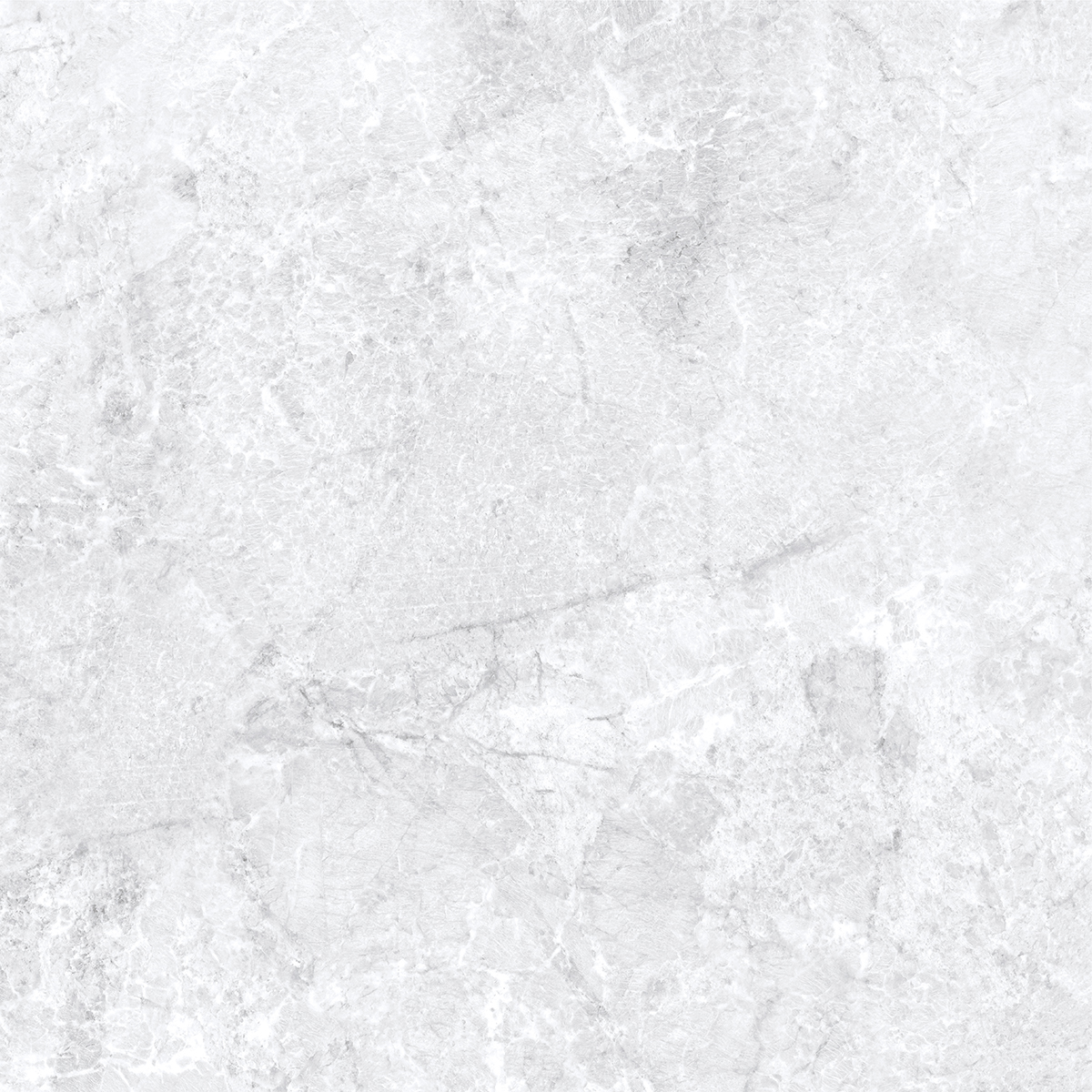 ARGENTINE WHITE