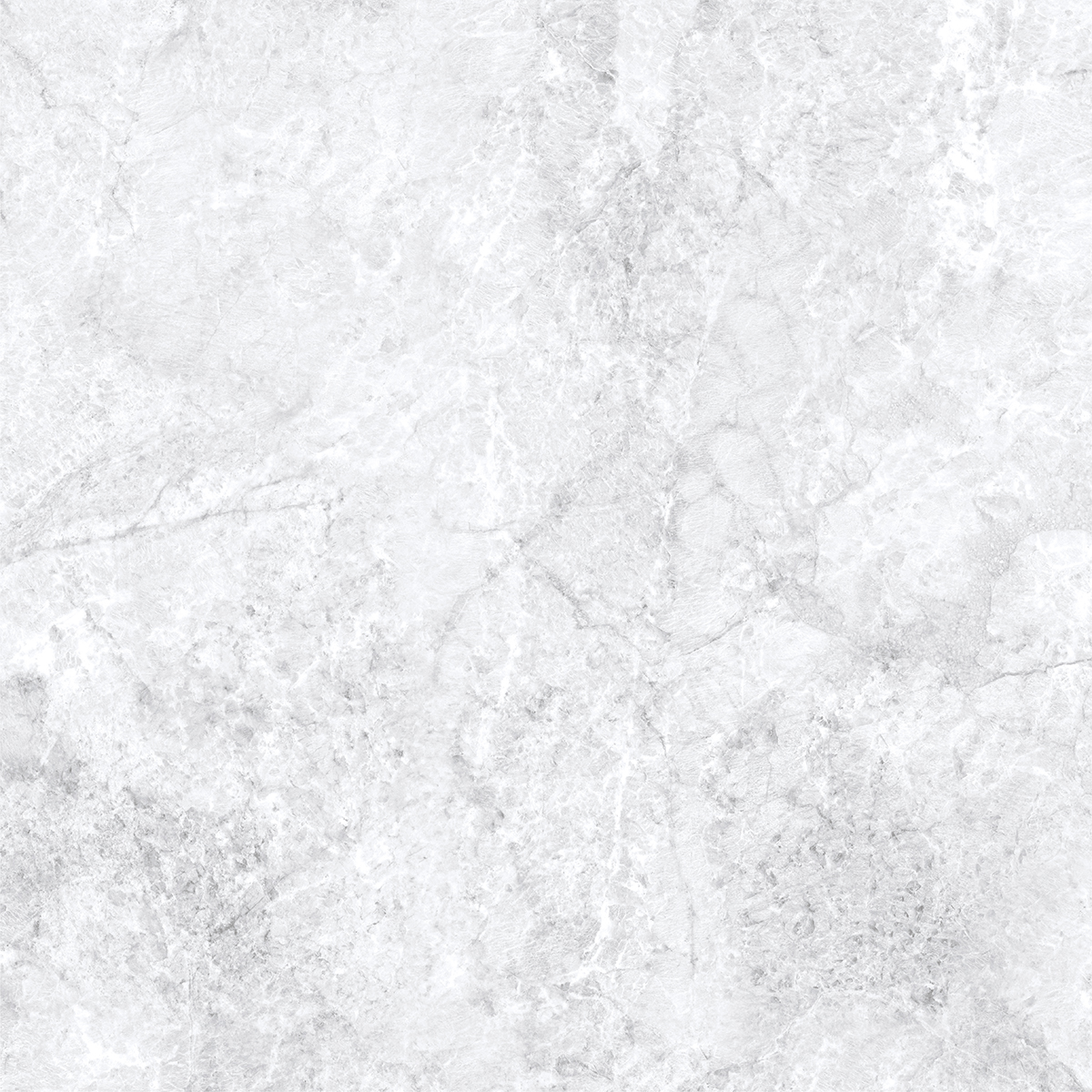 ARGENTINE WHITE
