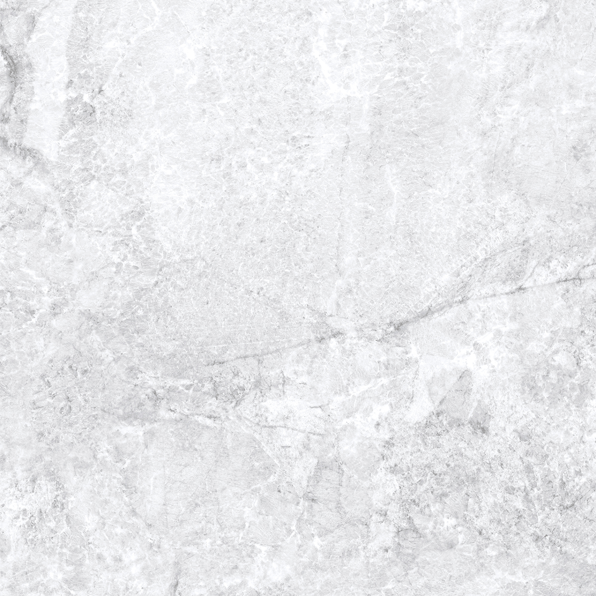 ARGENTINE WHITE